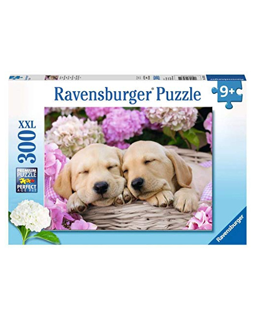 Puzzle XXL - Mignons chiots dans la corbeille - 300 pièces