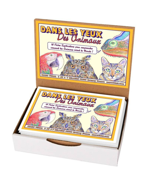 Dans les yeux des animaux