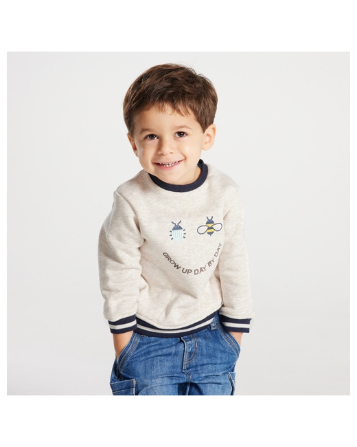 Sweat molleton gratté insectes