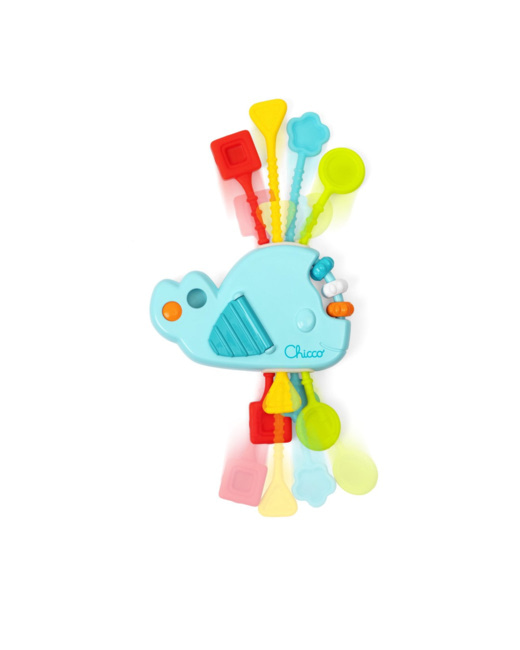 Baleine Multisensorielle