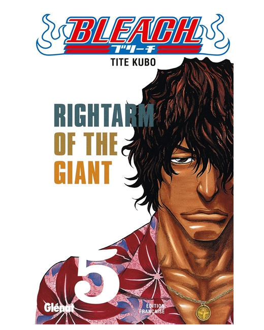Bleach - Tome 05 - Rightarm of the Giant