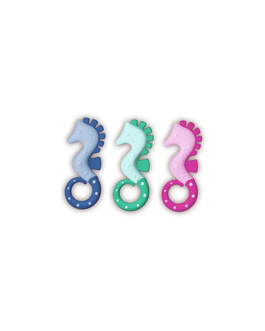 Bâtonnet de dentition Hippocampe