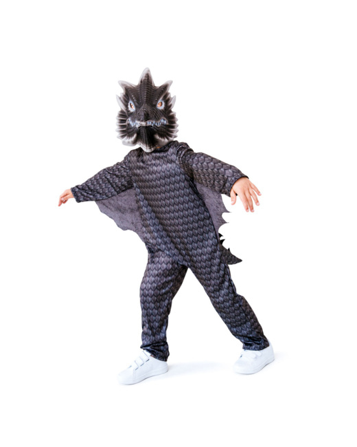 Déguisement Dragon de pierre 3-5 ans by Imagibul
