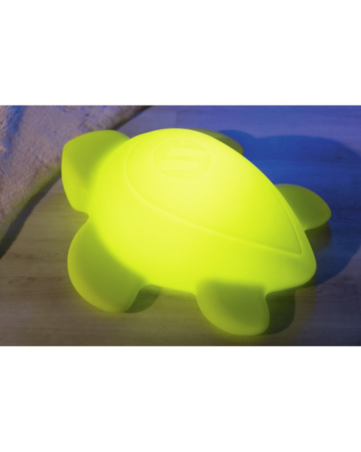 Tortue lumineuse manu