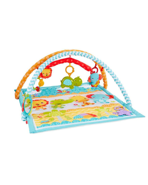 Wigglin' Play Gym