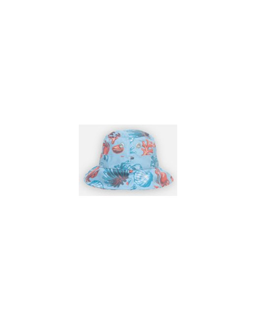 Crabe Chapeau Archimède