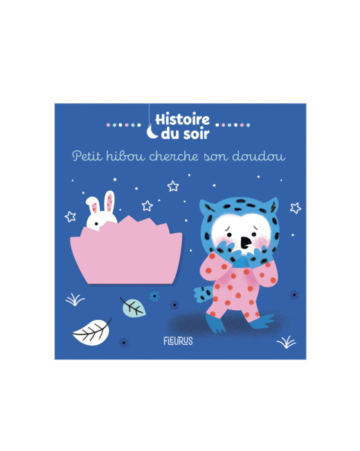 Livre Petit Hibou cherche son doudou