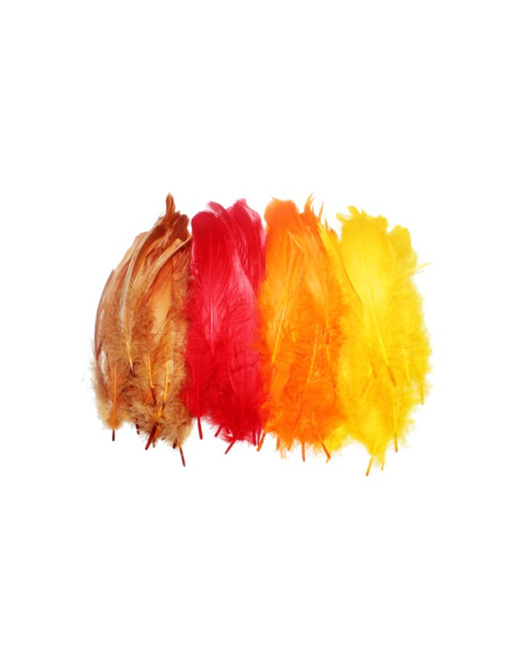 Plumes D'Oie