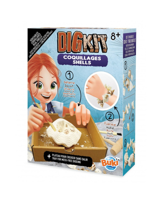 Dig kit - coquillages