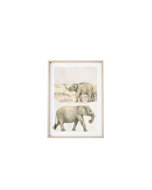 Image Éléphants