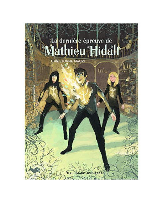 Livre Mathieu Hidalf, 5 : La Dernière Épreuve De Mathieu Hidalf