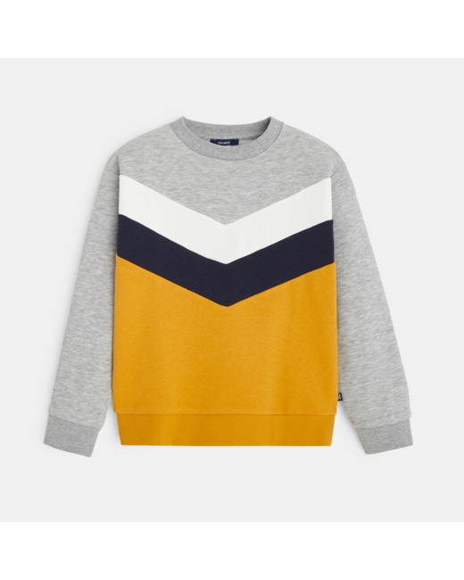 Sweat-shirt tricolore gris garçon