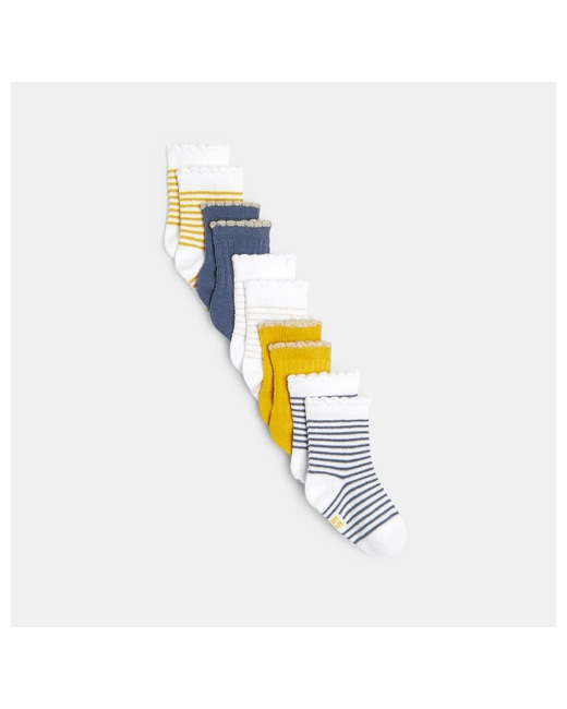 Chaussettes rayées brillantes bords festonnés (lot de 5)
