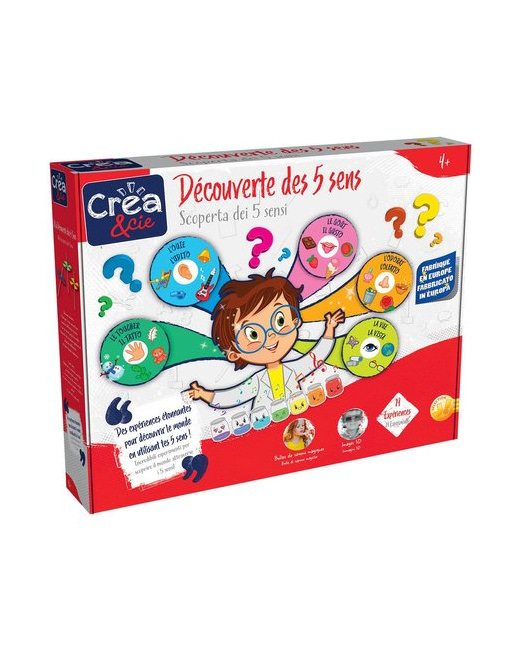 Jeu éducatif Découverte des 5 sens