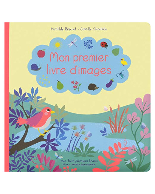 Livre Mon Premier Livre D'Images