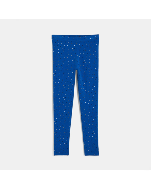 Leggings imprimés bleu fille