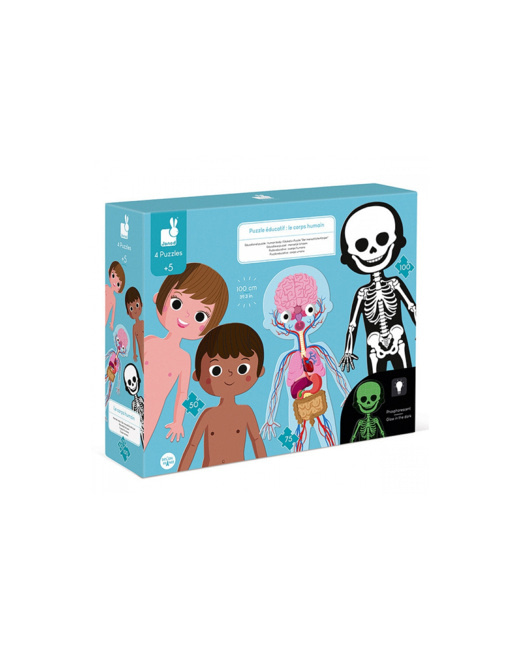 Puzzle educatif le corps humain