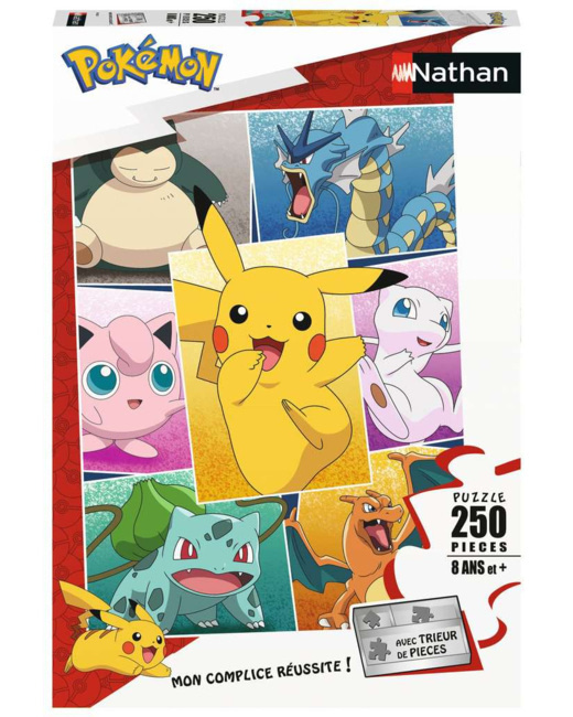 Puzzle Types de Pokémon - de 8 ans