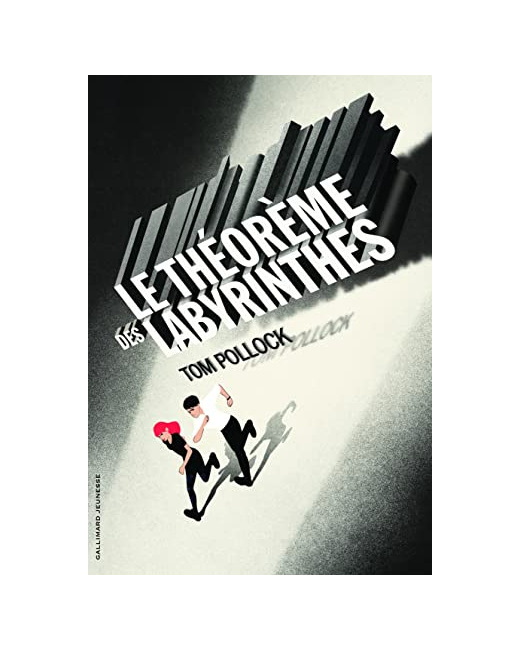 Livre Le Theoreme Des Labyrinthes