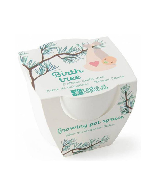 Arbre de naissance à faire pousser