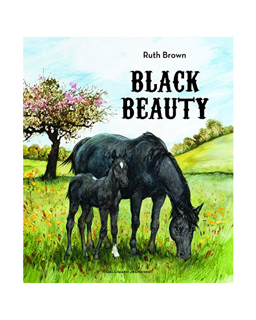 Livre Black Beauty