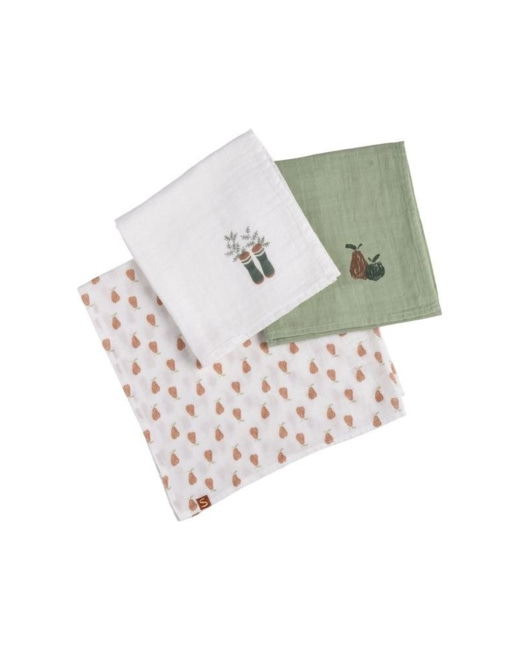 Boite de 3 langes bio Botanica