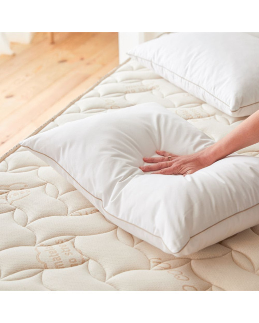 Oreiller naturel en Plume et Duvet