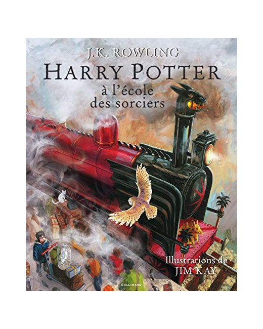 Livre Harry Potter A L'Ecole Des Sorciers - Version Illustree