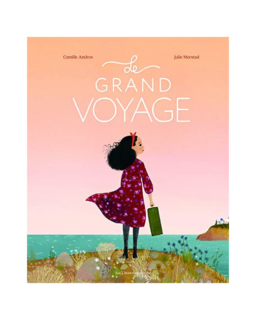 Livre Le Grand Voyage