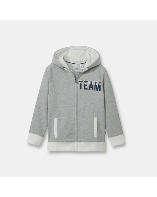 Sweat-shirt à capuche gris garçon