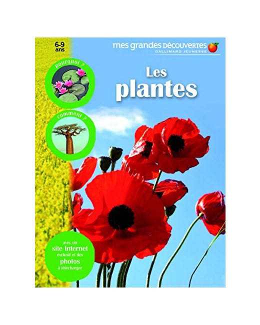 Livre Les Plantes - Mes Grandes Découvertes - 6/9 Ans