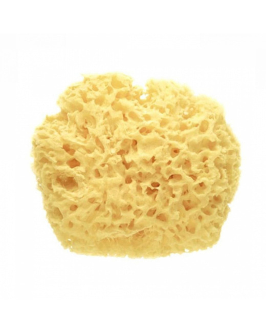 Eponge naturelle premium