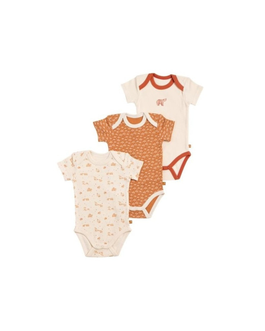 Lot de 3 bodies manches courtes Orsino