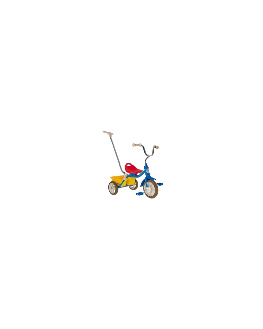 Tricycle Enfant Passenger