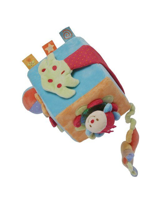 Cube Multi Activités Oasis