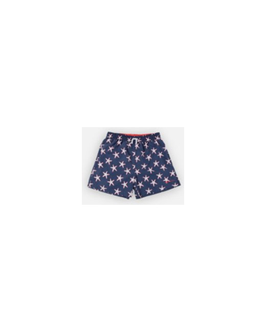 Starfish Daddy Boxer Archimède
