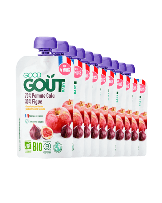 Pack de 10 gourdes Pomme Figue Bio