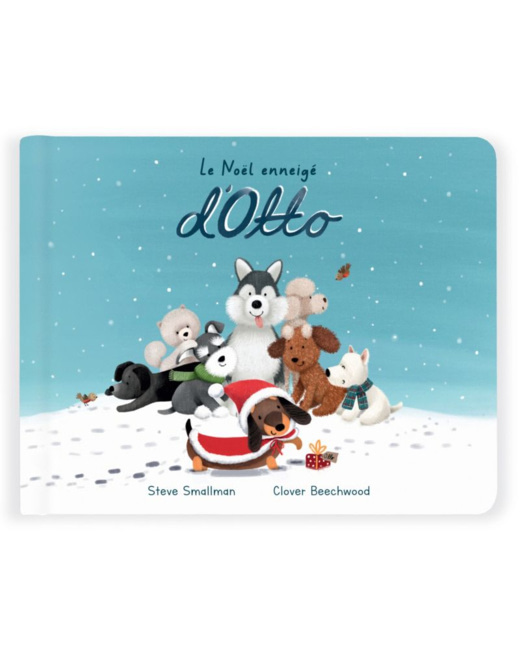 Livre le Noël enneigé d'Otto