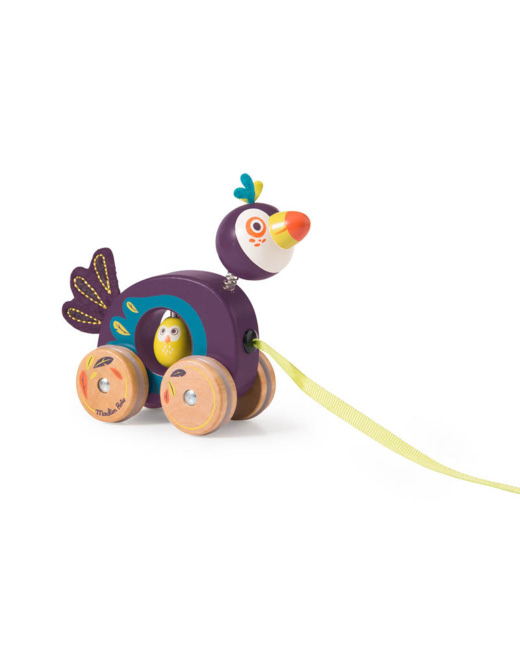 Petit toucan à tirer Dans la jungle