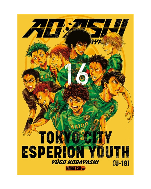 AO ASHI Tome 16