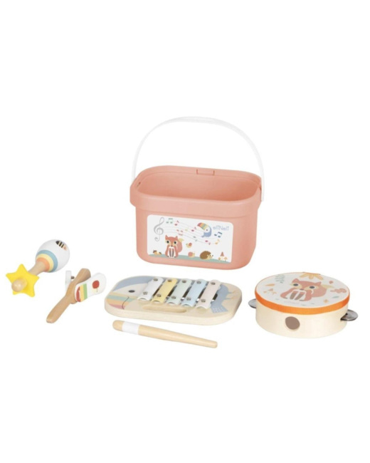 Ensemble d'instruments de musique 4en1