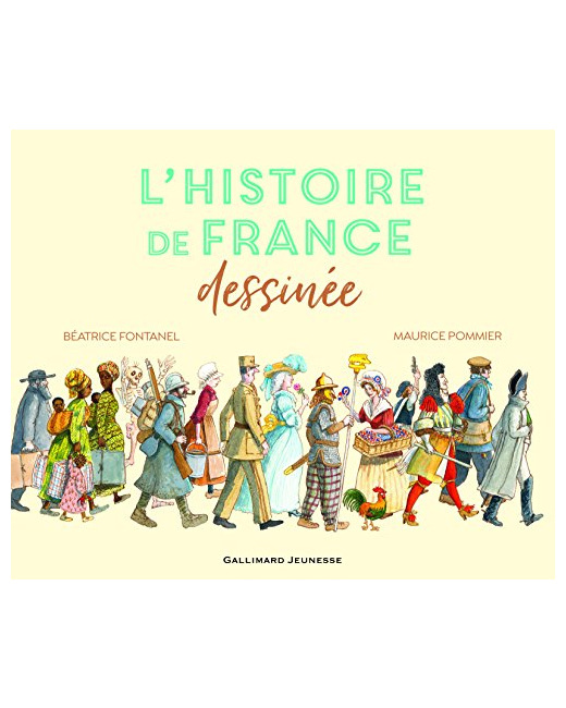 Livre L'Histoire De France Dessinee