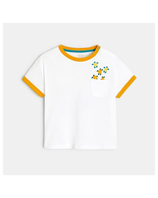 T-shirt tortues et raie manta