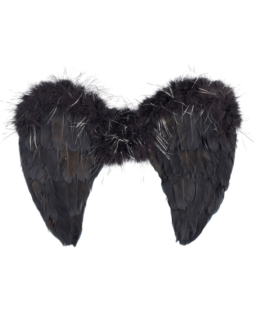 Ailes d'ange noires Nyx