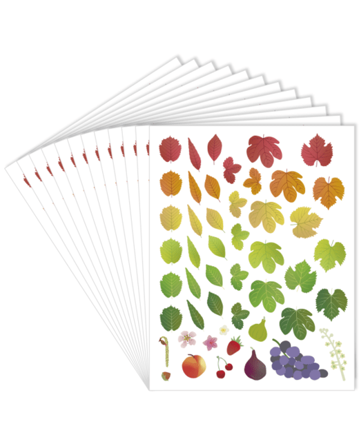 Gommettes En Papier - Les 4 Saisons