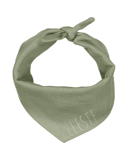 Edgar le foulard