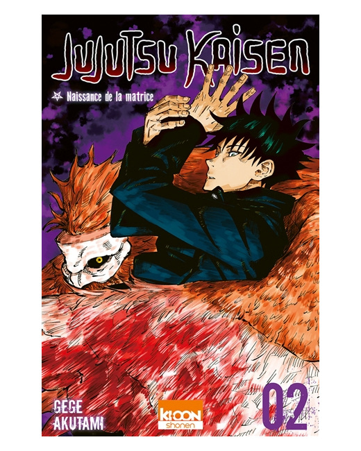 Jujutsu Kaisen Tome 2