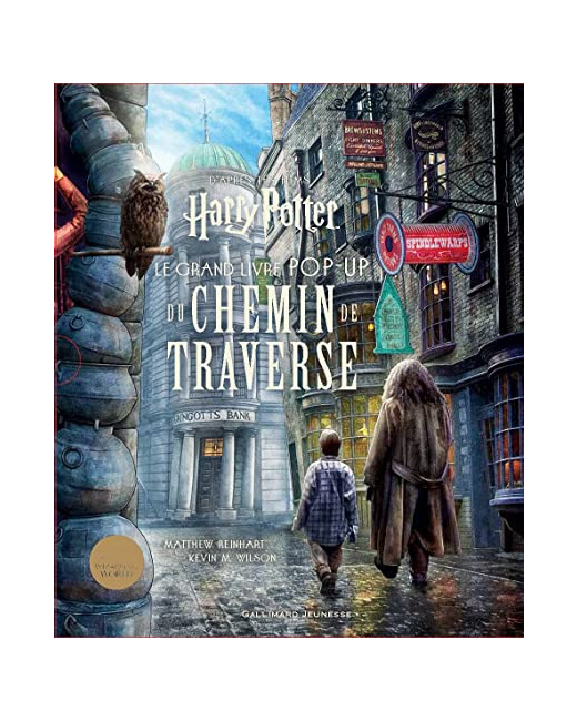 Livre Harry Potter - Le Grand Livre Pop-Up Du Chemin De Traverse