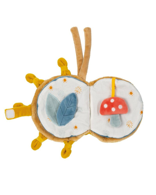 Livre d'actvités Felix Leo