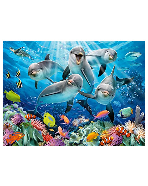 Puzzle - Dauphins sur le récif de corail - 500 pièces